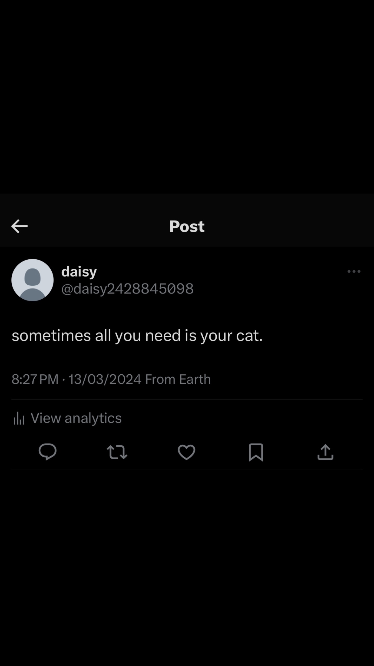 Katze 