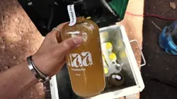 Entregas kombucha 