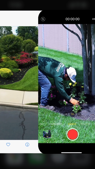 Gardening