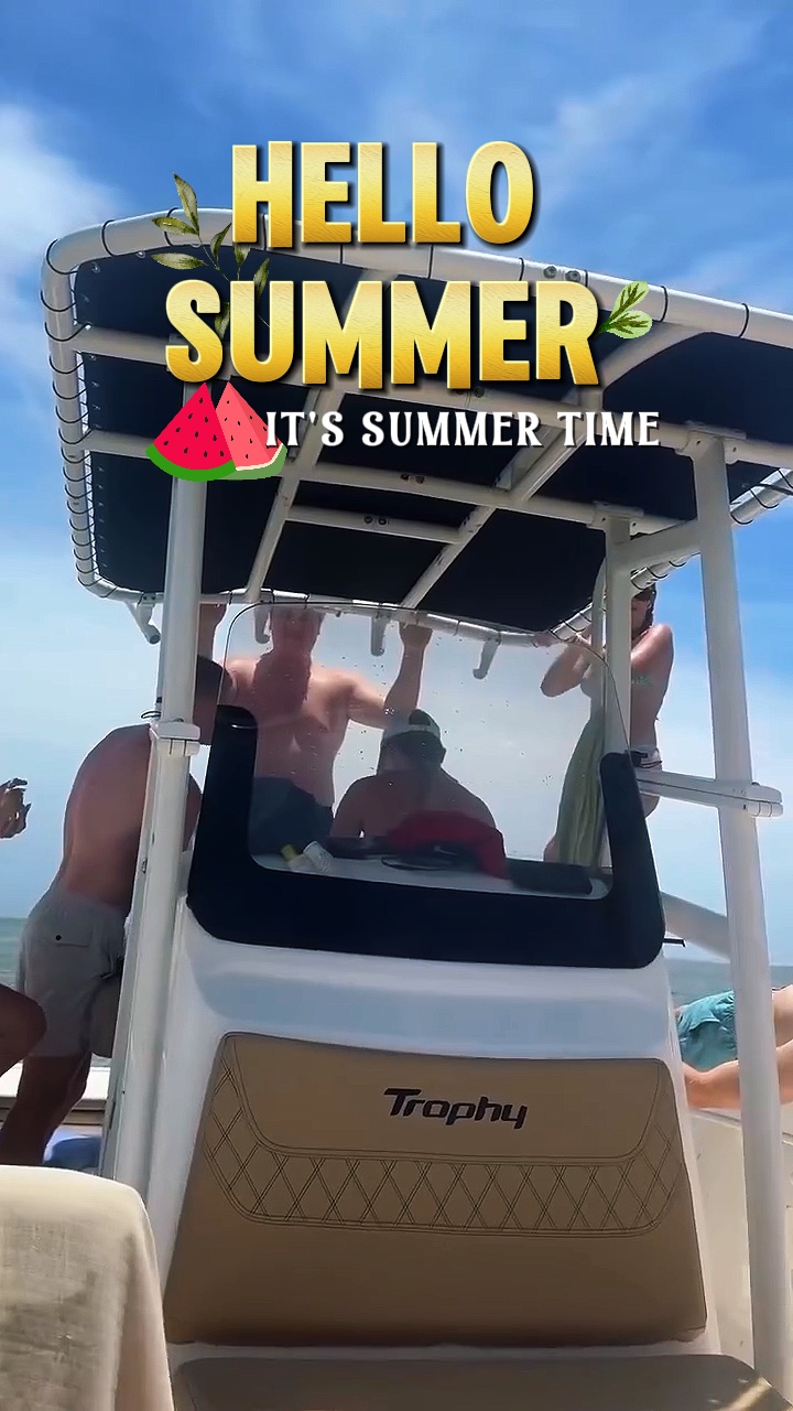 Olá Verão
