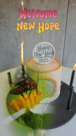 new year new hope