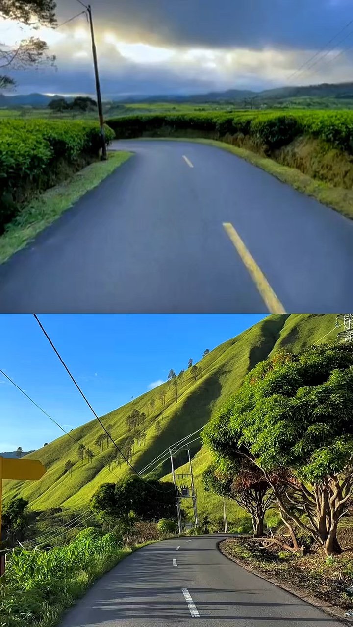 2 video collage