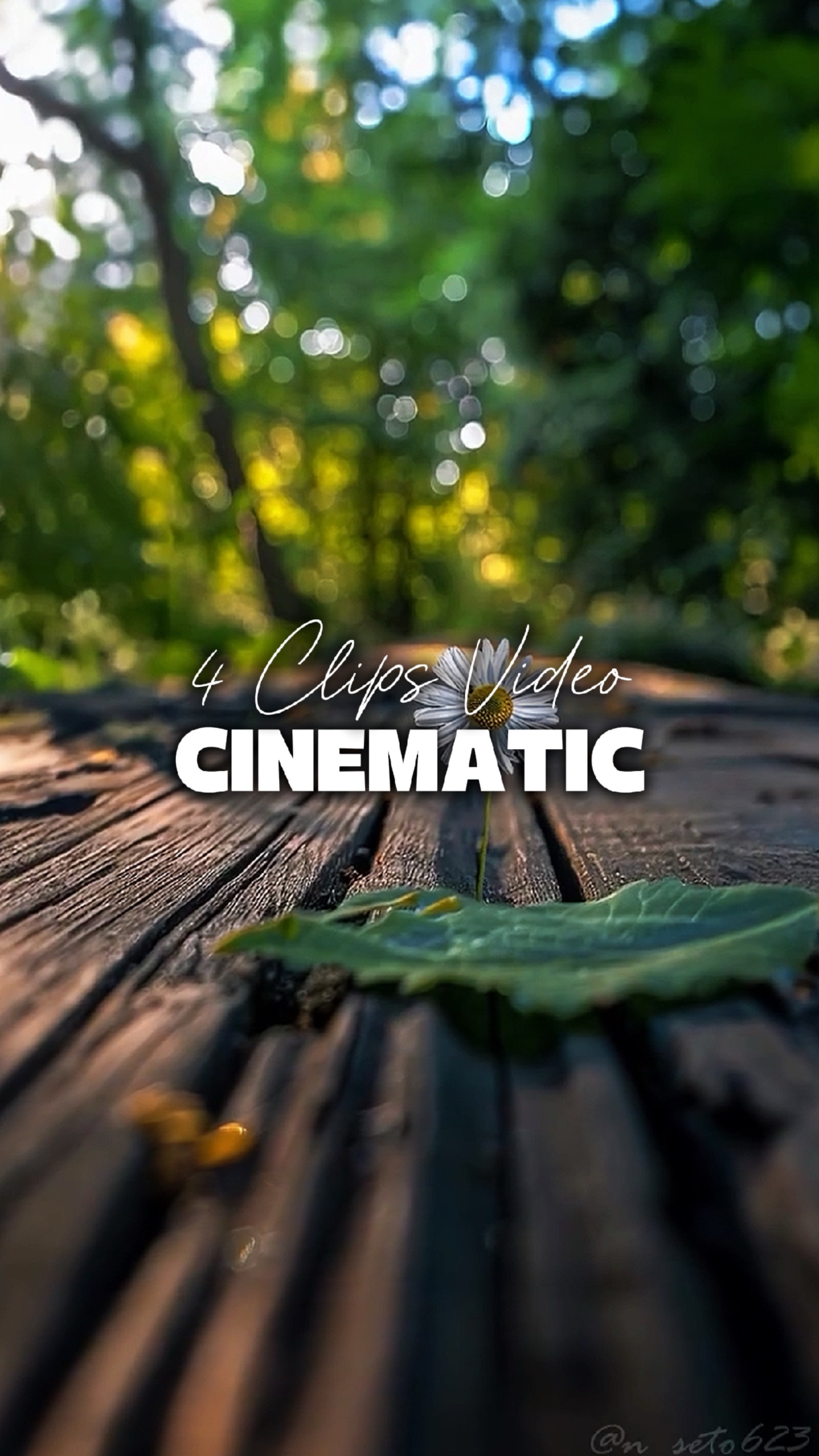 4 Clips Cinematic 