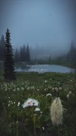 Lovely