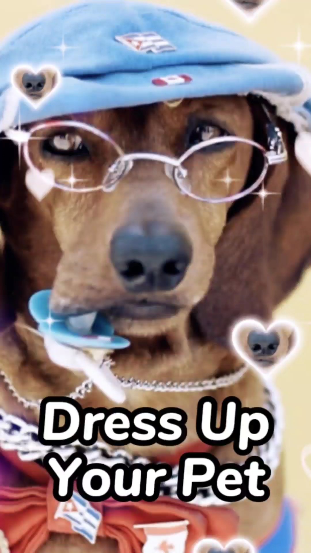 Pet Clothes Collection im TikTok-Stil