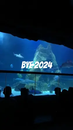 Bye 2024👋🏻