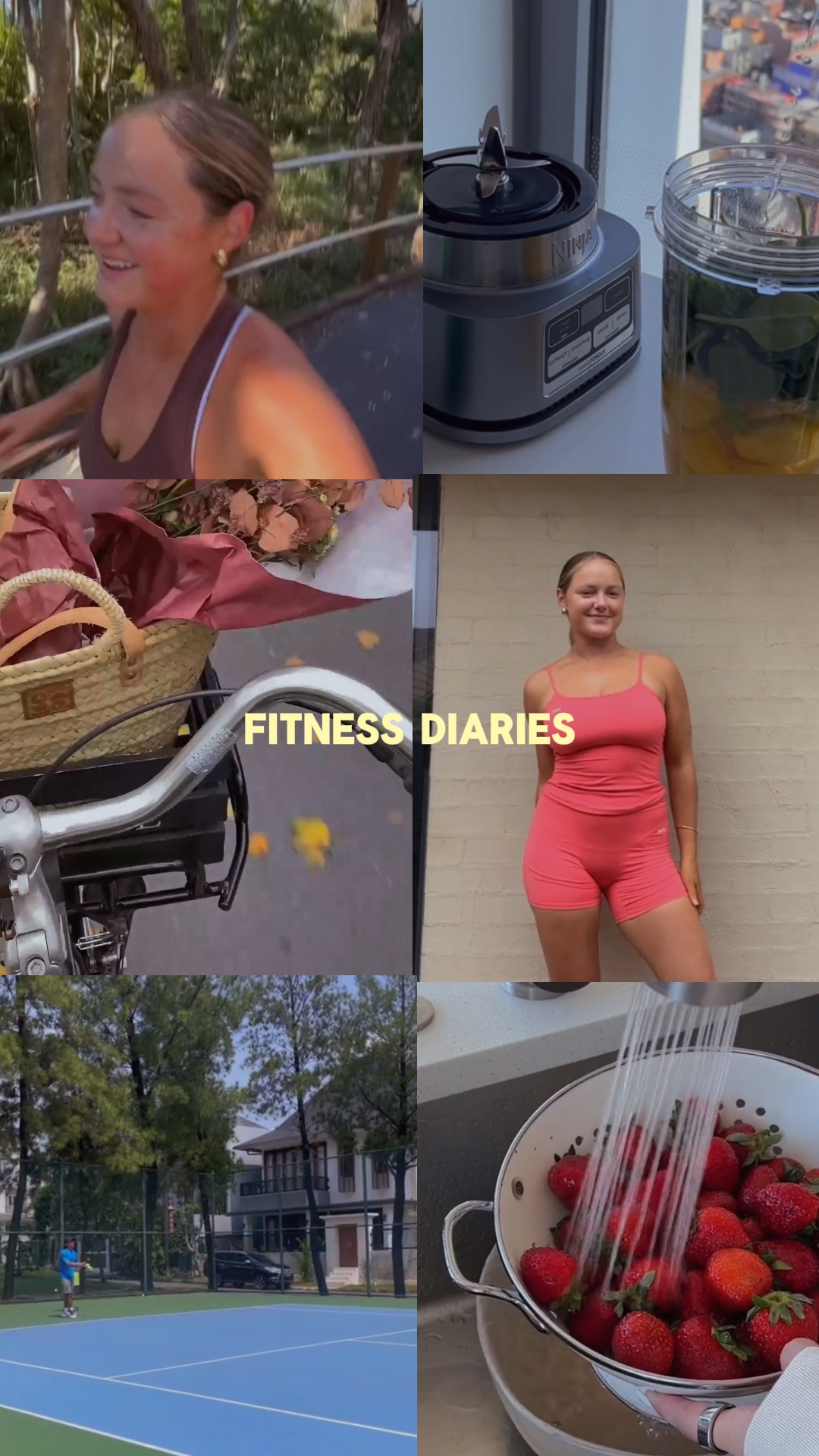Diarios de fitness 