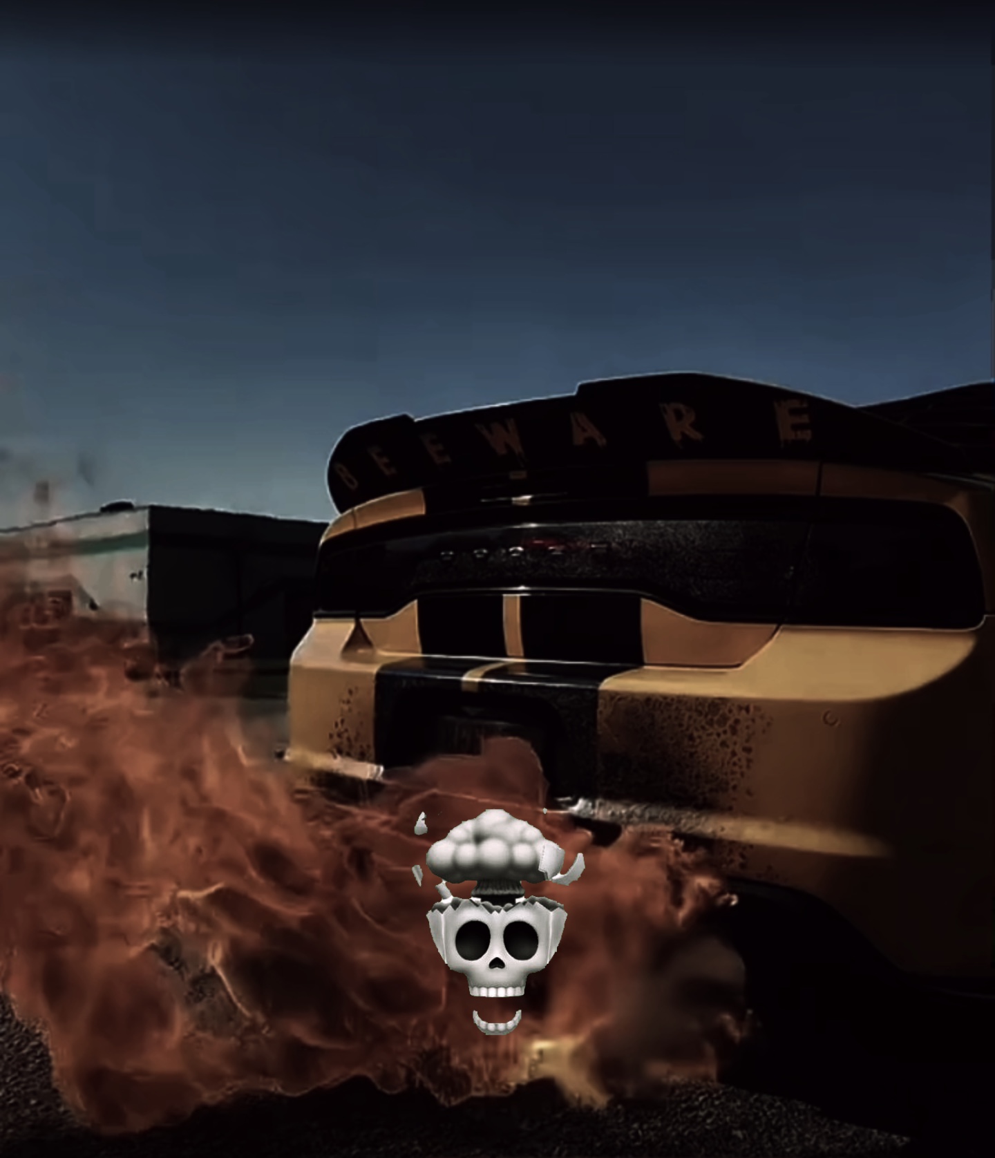 Schädelgesicht + Auto 💀🔥