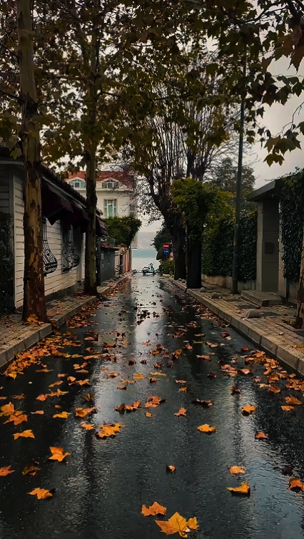 sevgililer günü anları 
