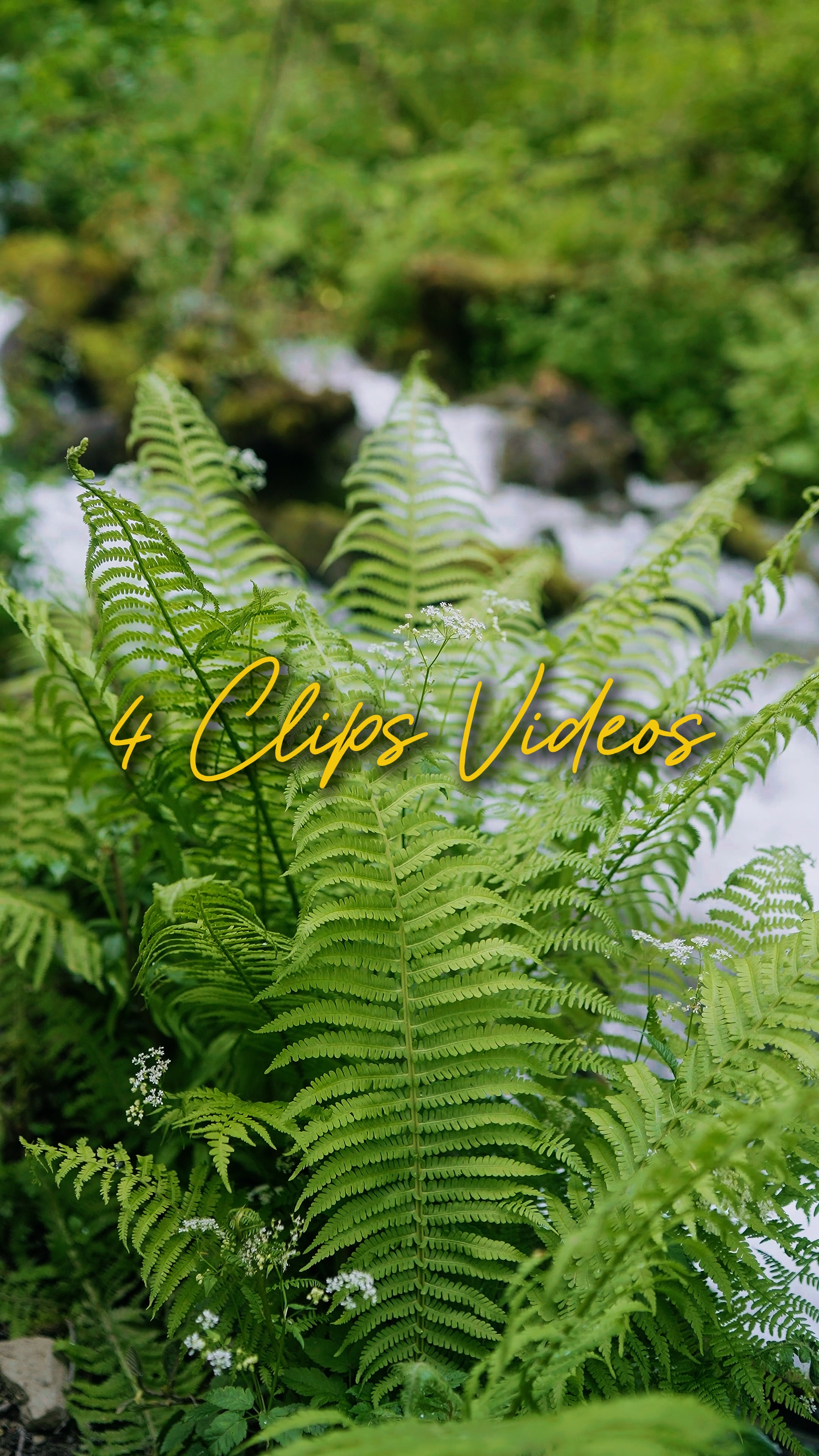 Cinematic 4 Videos