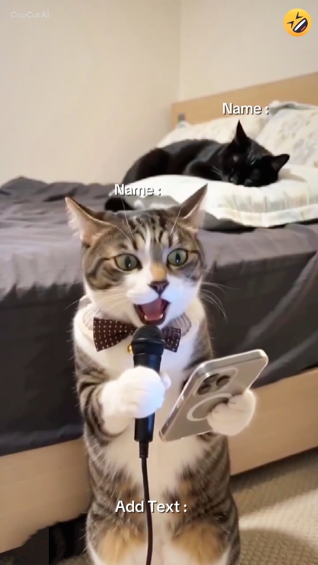 Your voice is bad