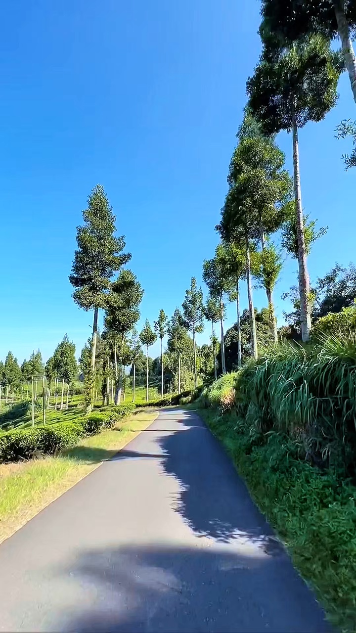6 clips road travel 