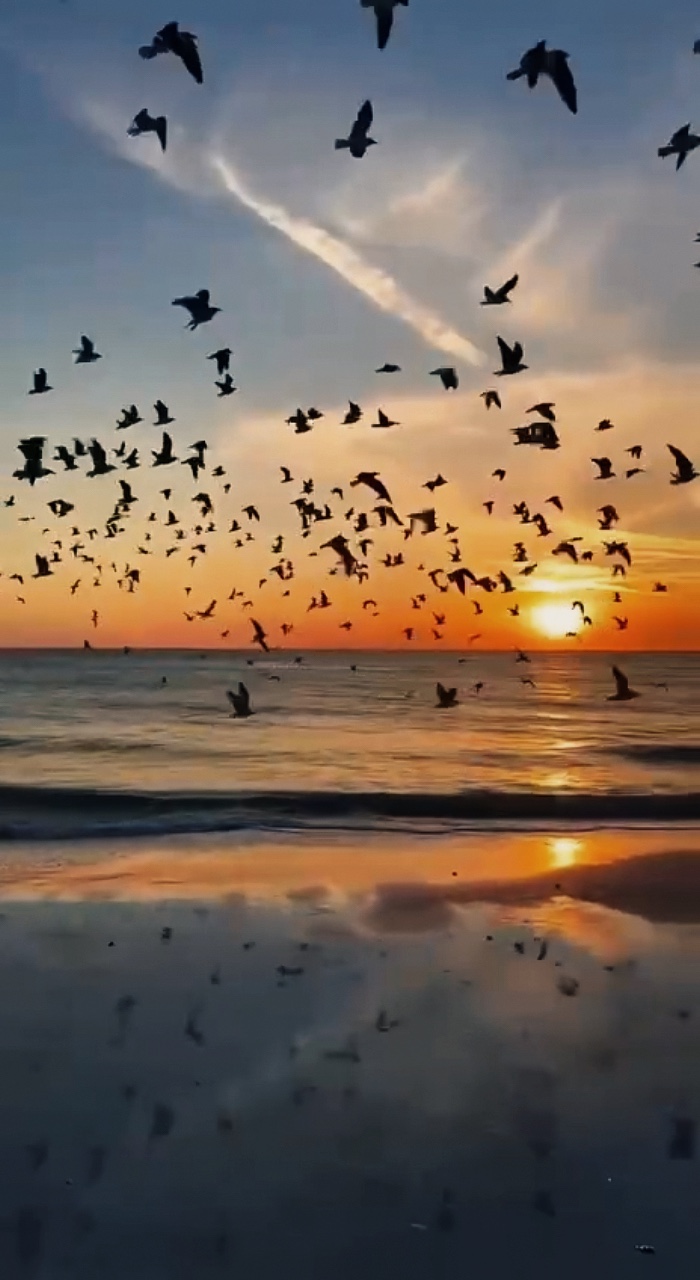 slowmotion velocity