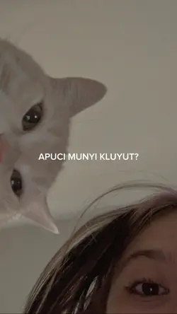 marsha kluyut
