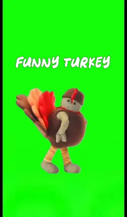FUNNY TURKEY