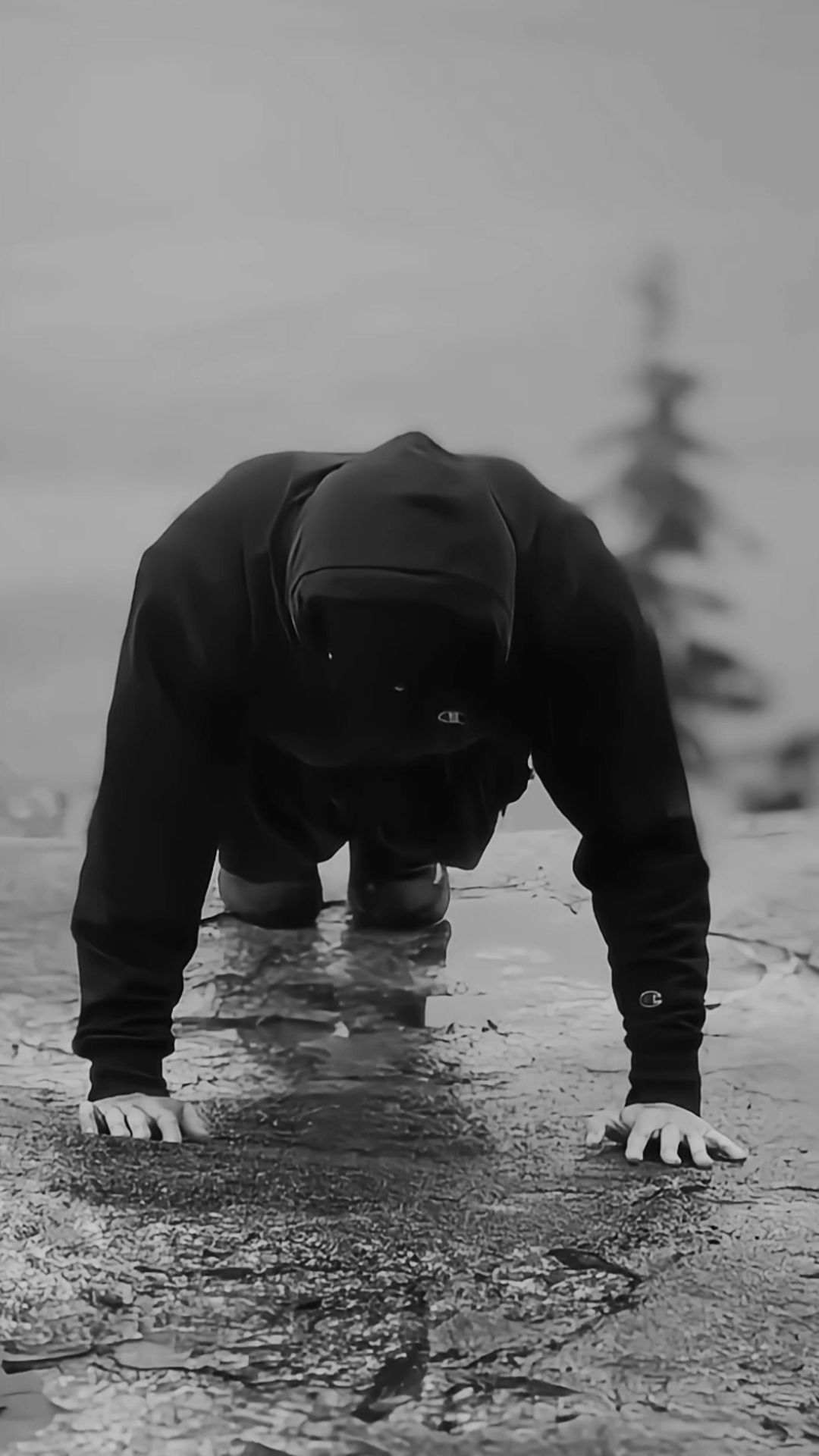 Motivasyon