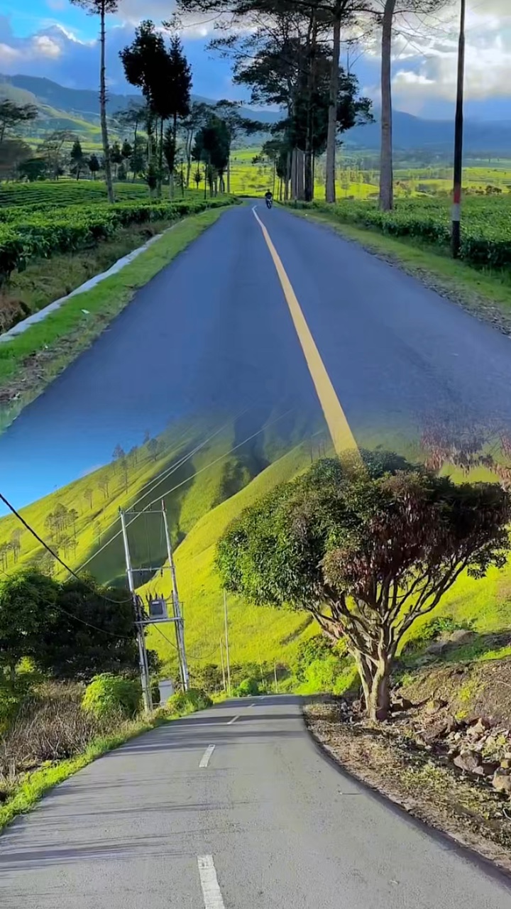 2 vidéo en collage