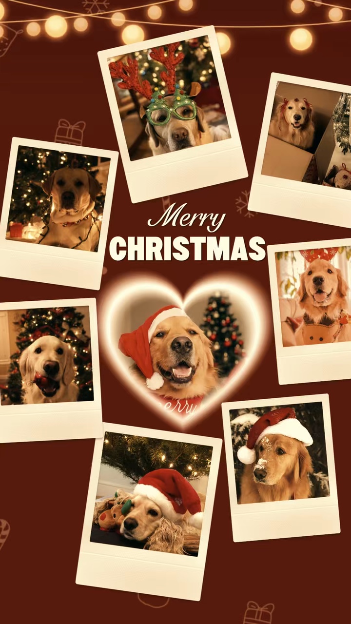 Joyeux Noël chien 