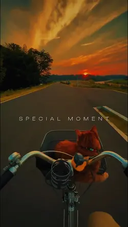 SPECIAL MOMENT 