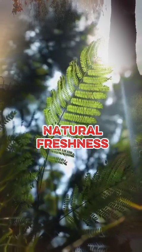 Frescura natural 