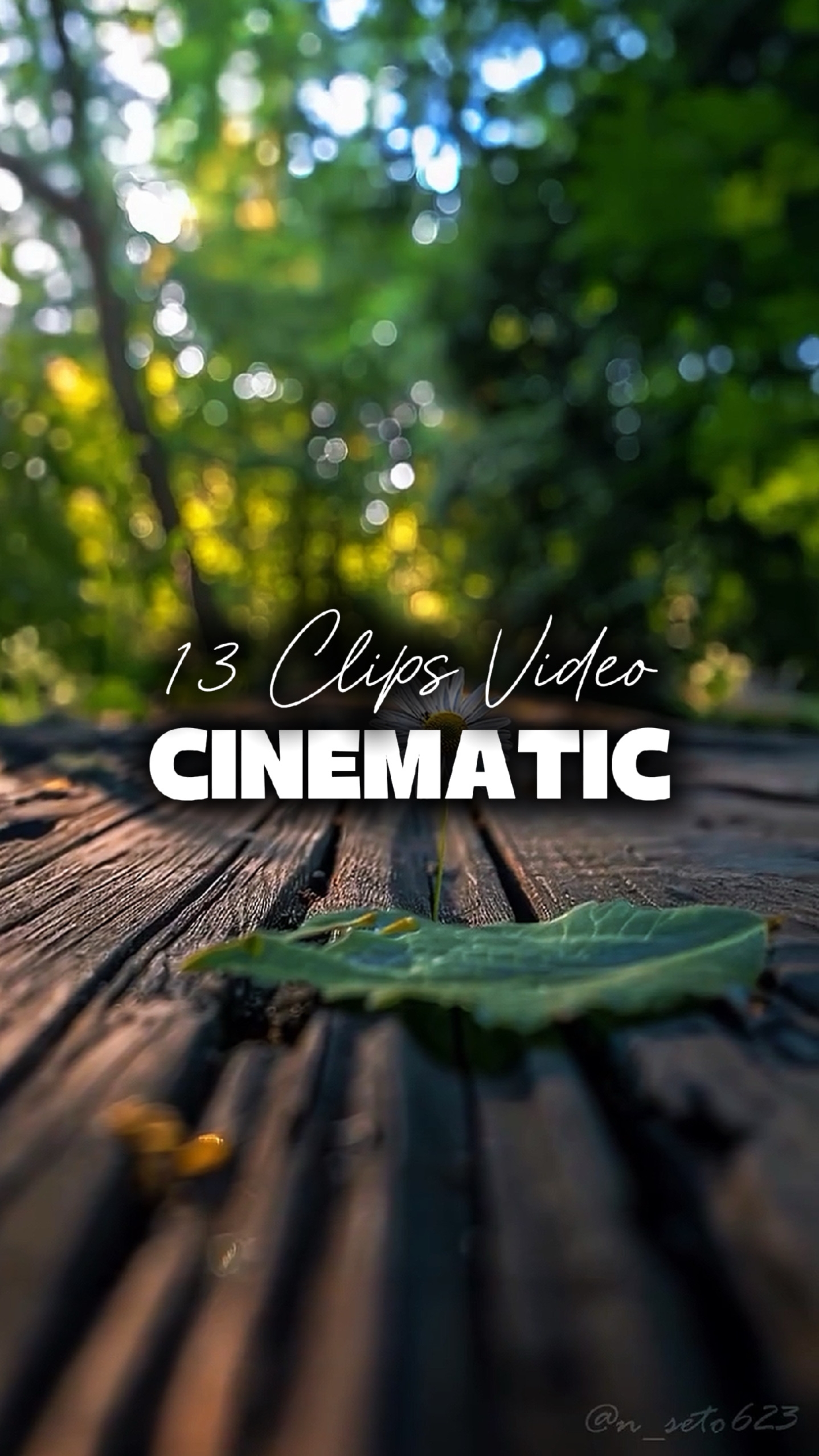 13 Videos Cinematic 