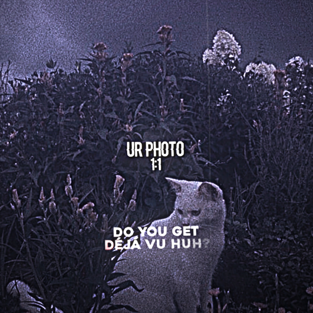 do you get deja vu