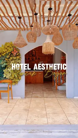 Aesthetic 
