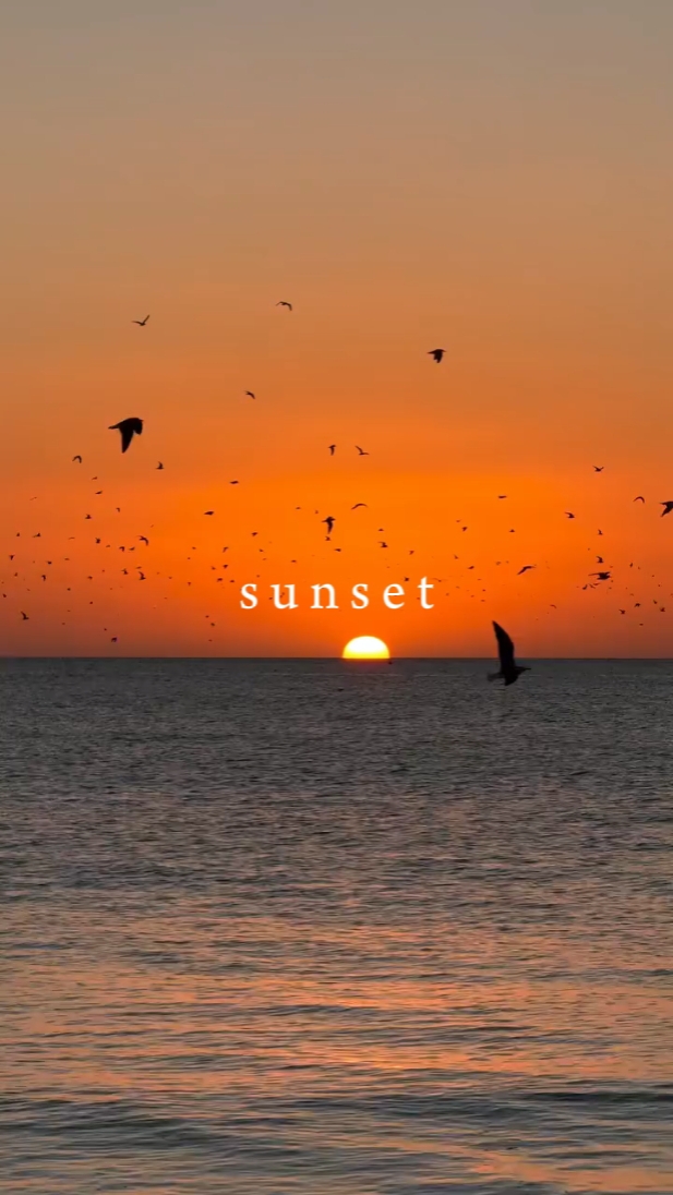 sunset 
