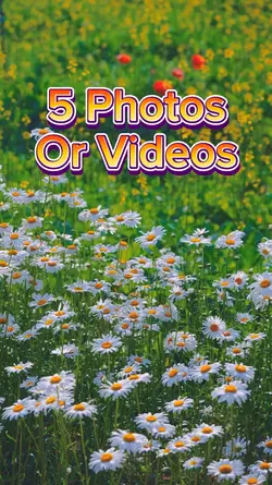 5 Photo Slides