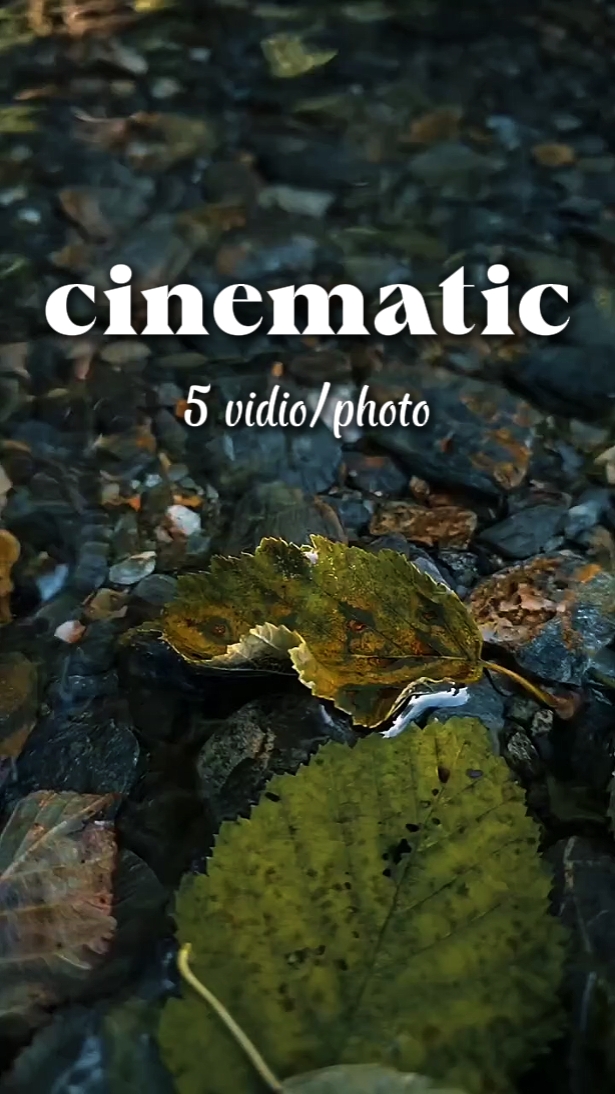 vidéo cinématique 5