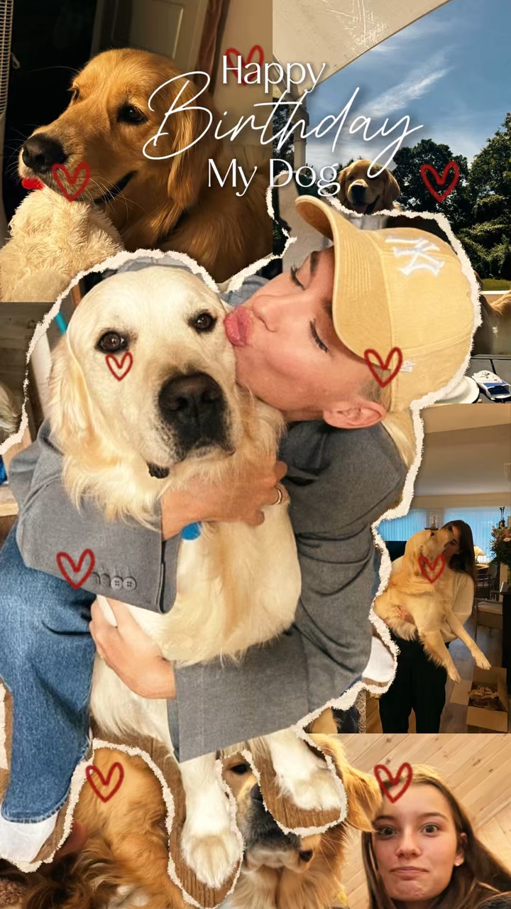 Alles Gute zum Geburtstag Hund 