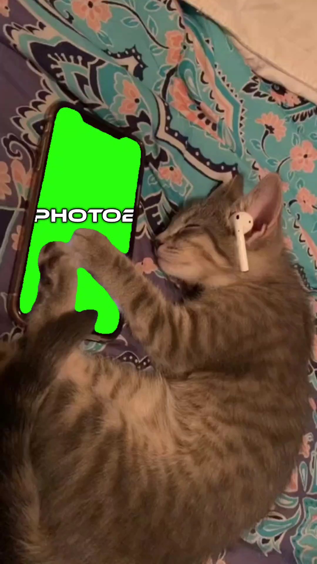 Template ng pusa 
