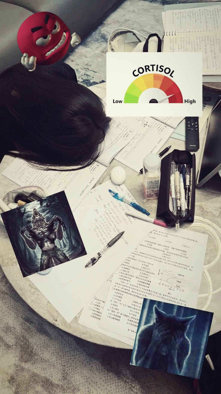 cortisol level