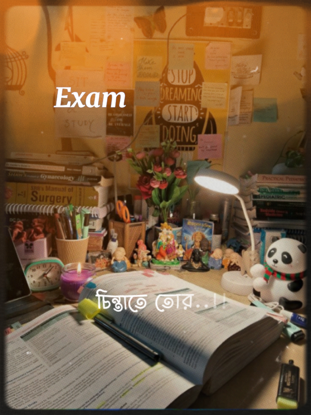Hsc Exam Candidate