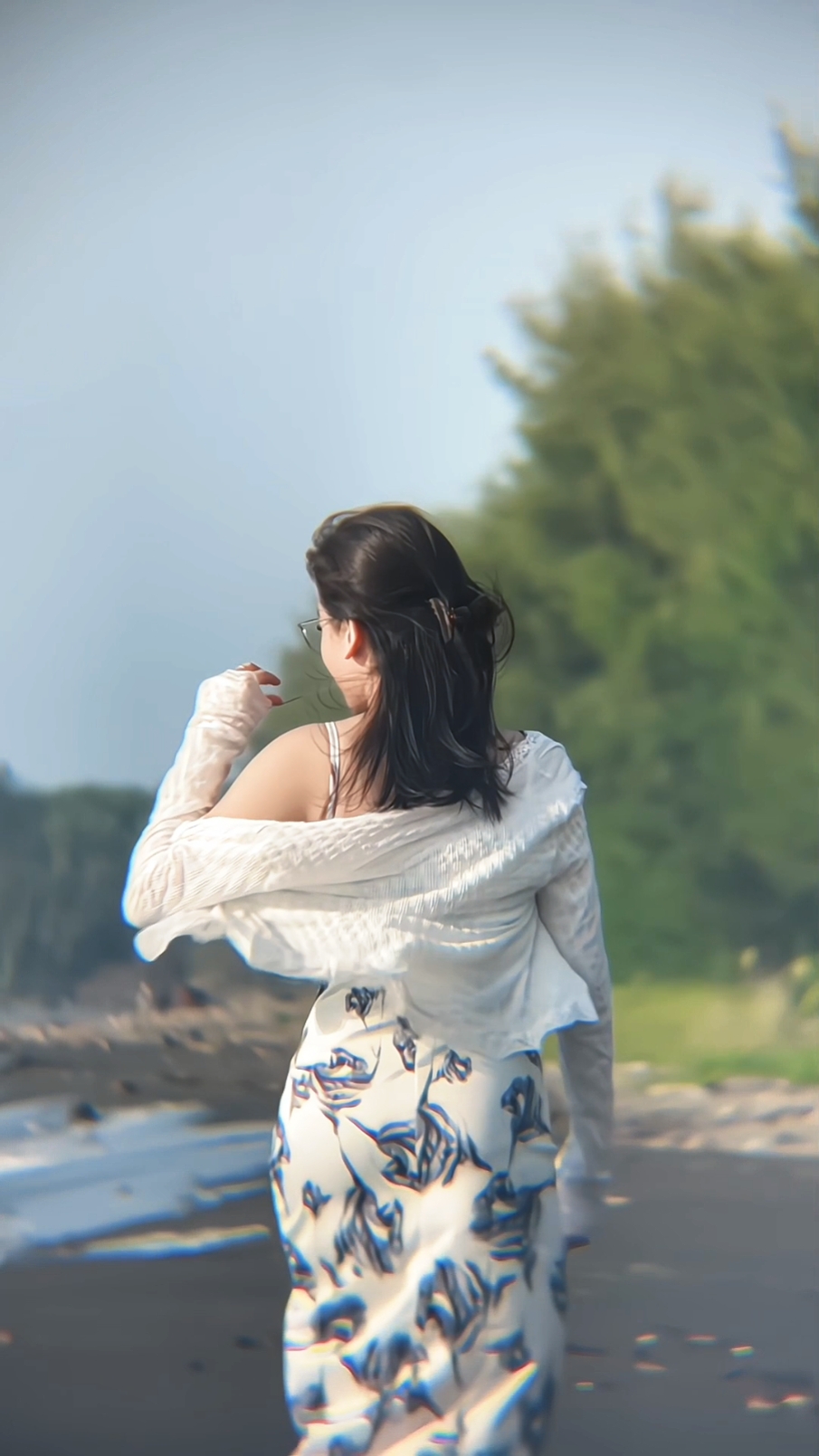 Video Slowmo 4 