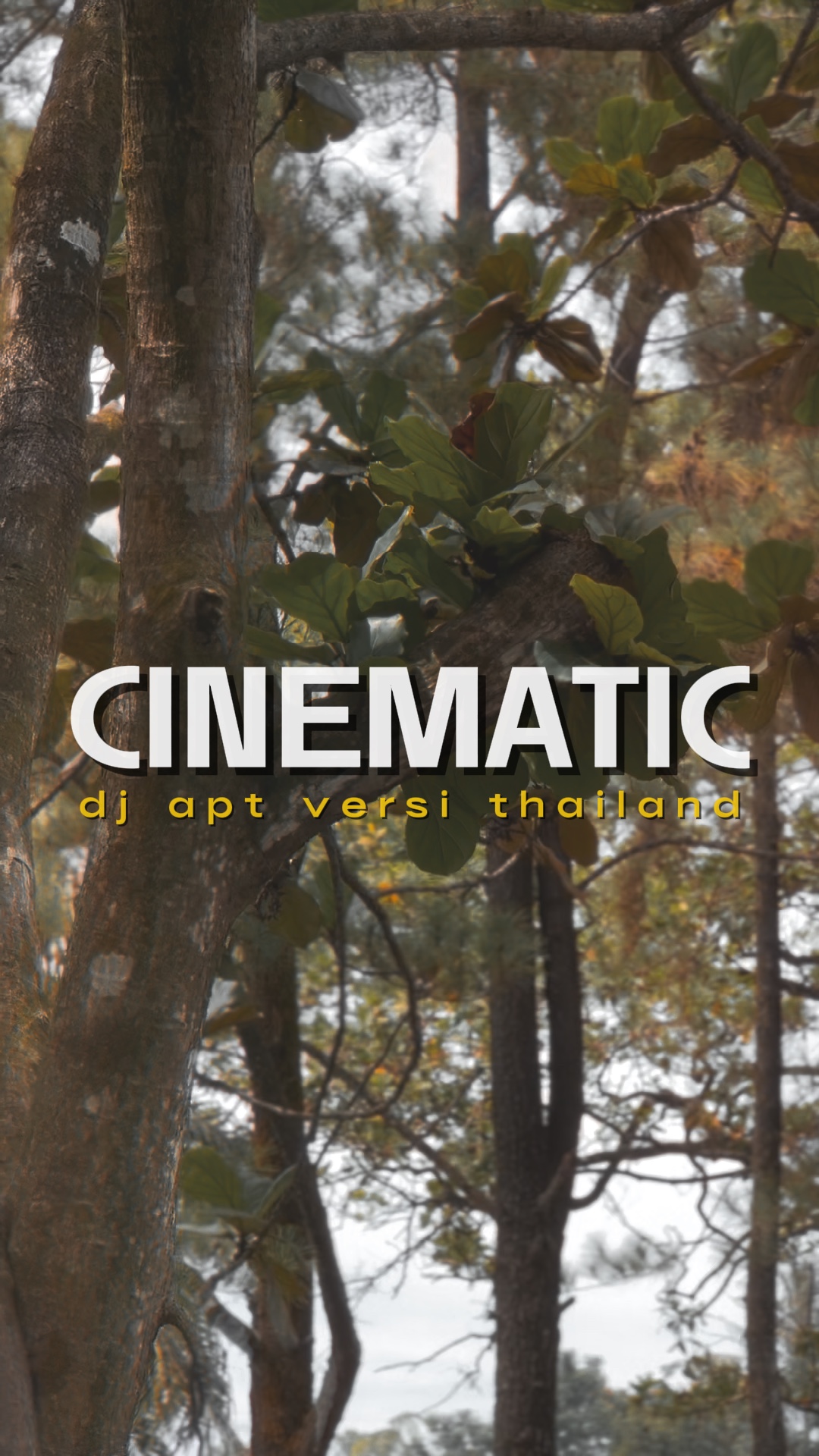 Dj apt thaluru