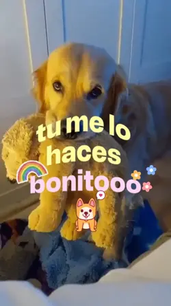 mi mascota bonita