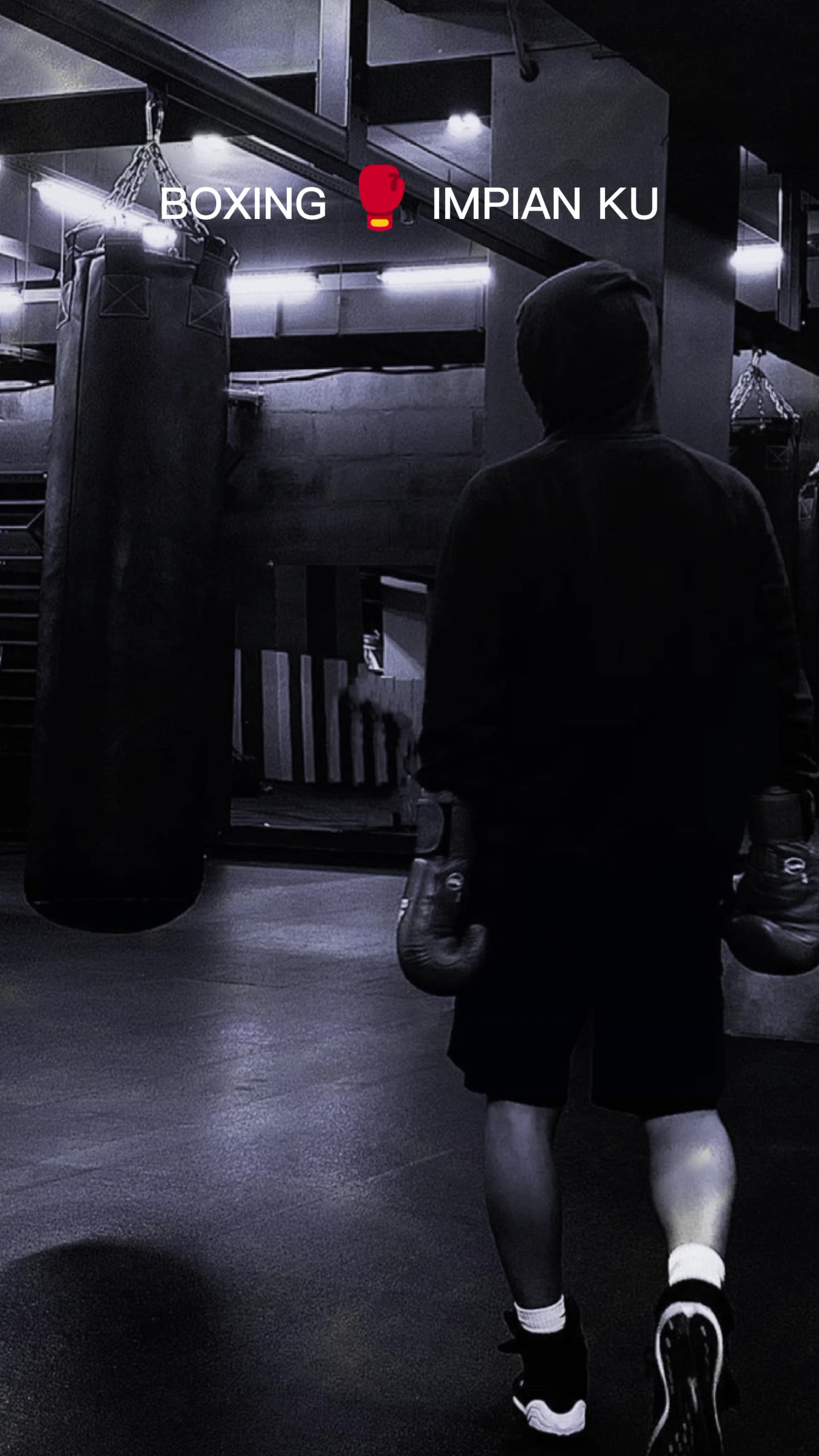 boxing impian ku