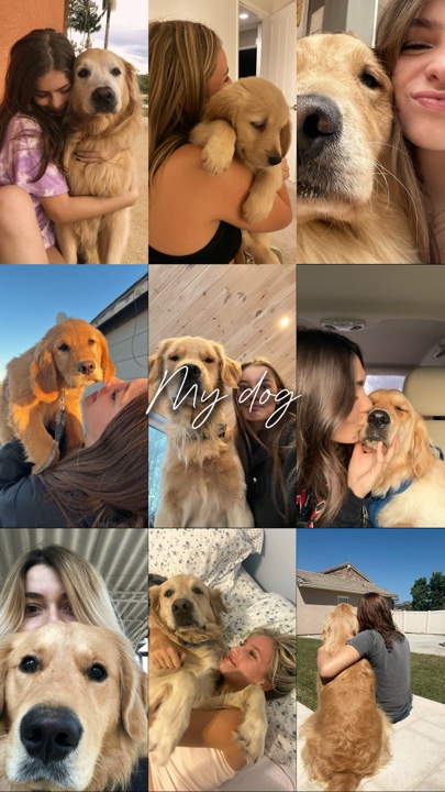 My dog