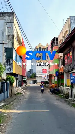 Trend sctv