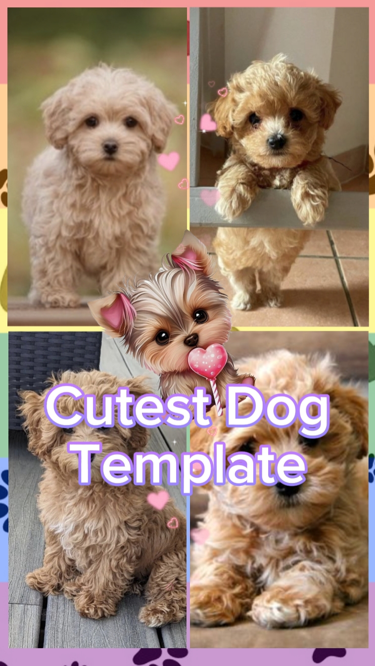 Cute Dog Template