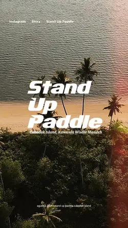 Stand up paddle