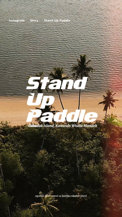 Stand up paddle