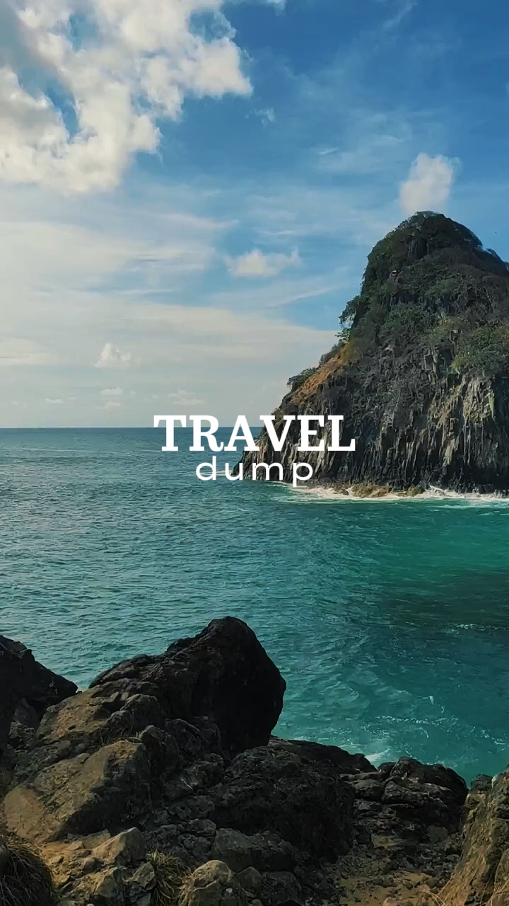 Travel dump