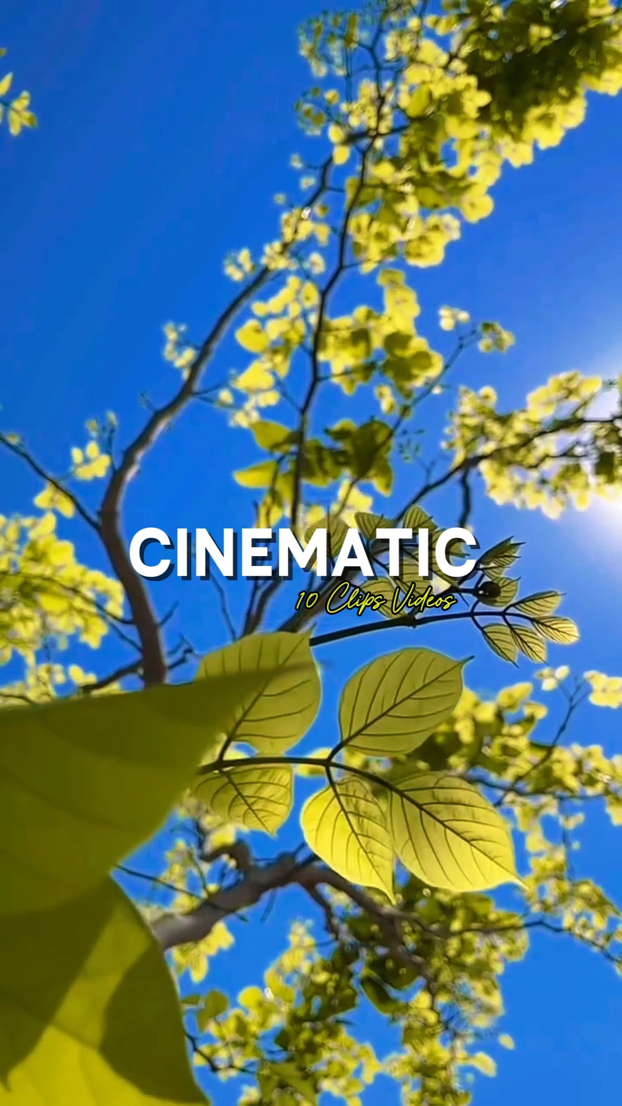 Sinematik 10 Video 