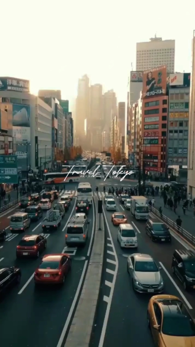 Viaje a Tokio