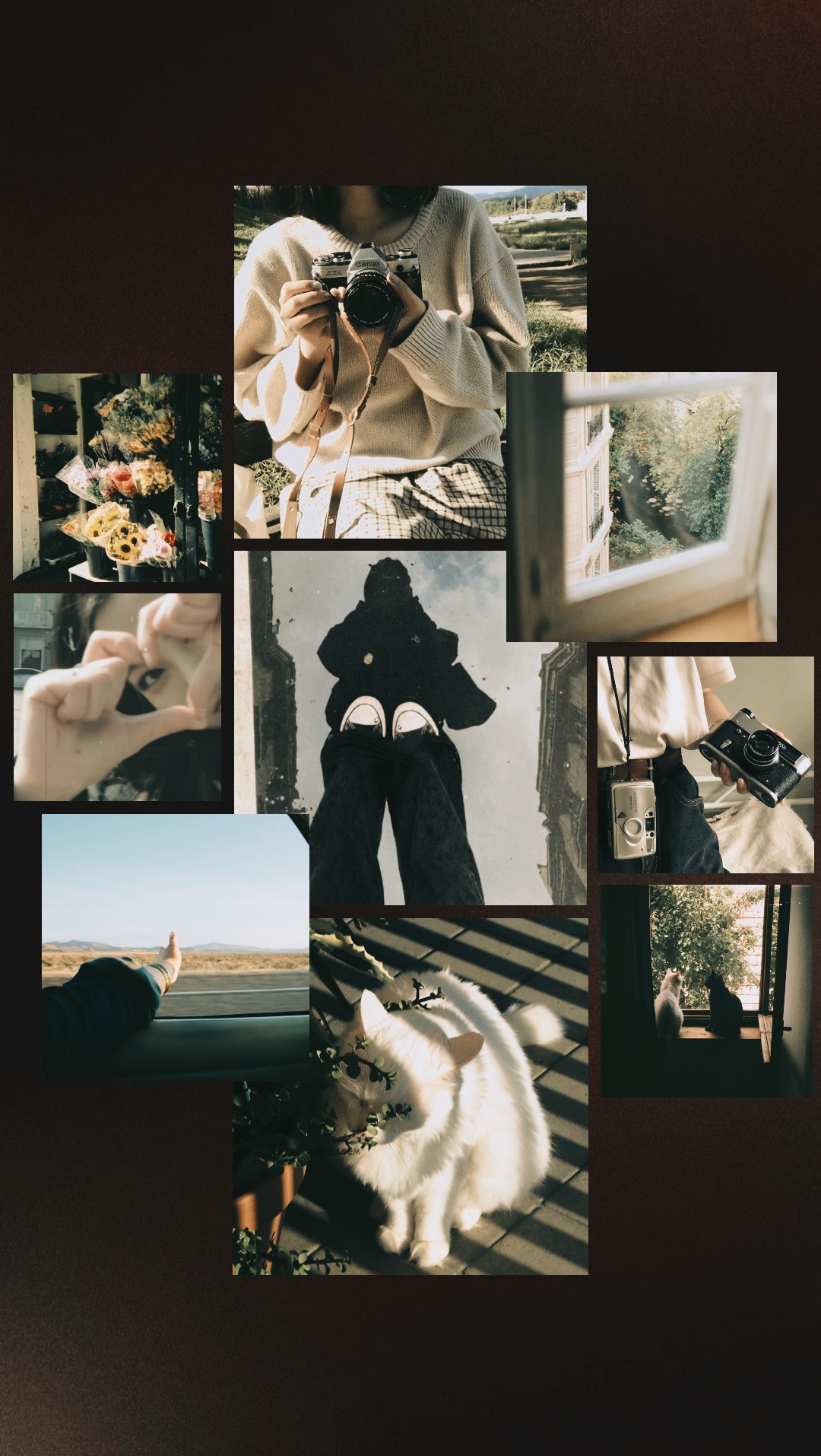 Photo de collage