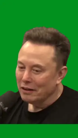 musk glitch