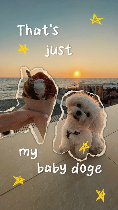 Das ist nur mein Hund 