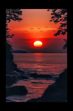 Sunset Grov